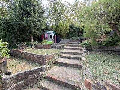 Picture 24